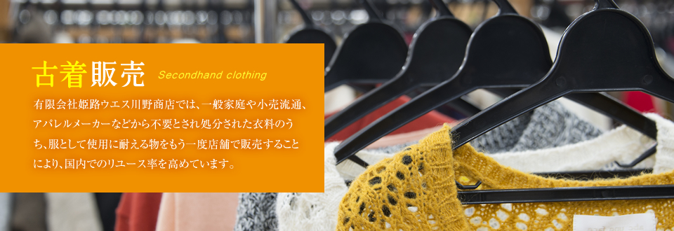 [イメージ]